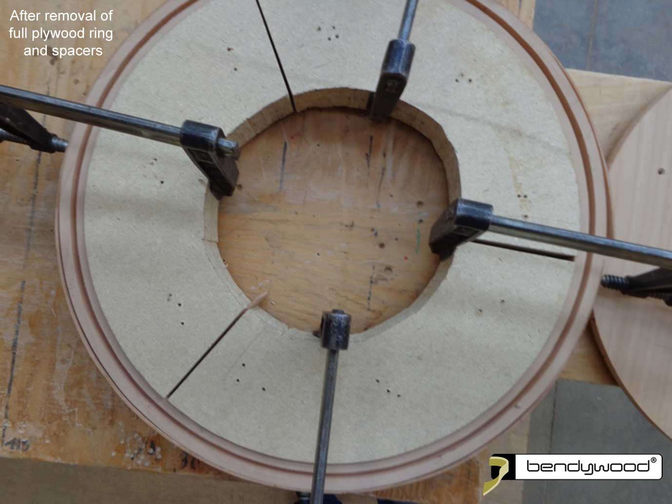 After removal of full plywood ring and spacers - Pendant light with Bendywood®